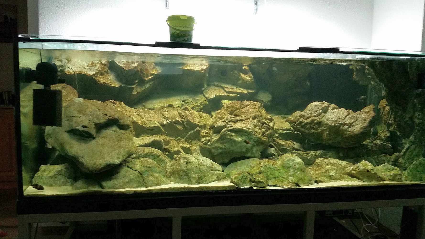 Tanganjika Becken