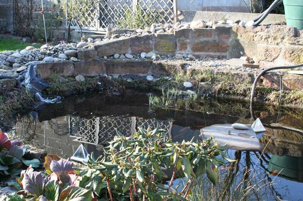 Teich