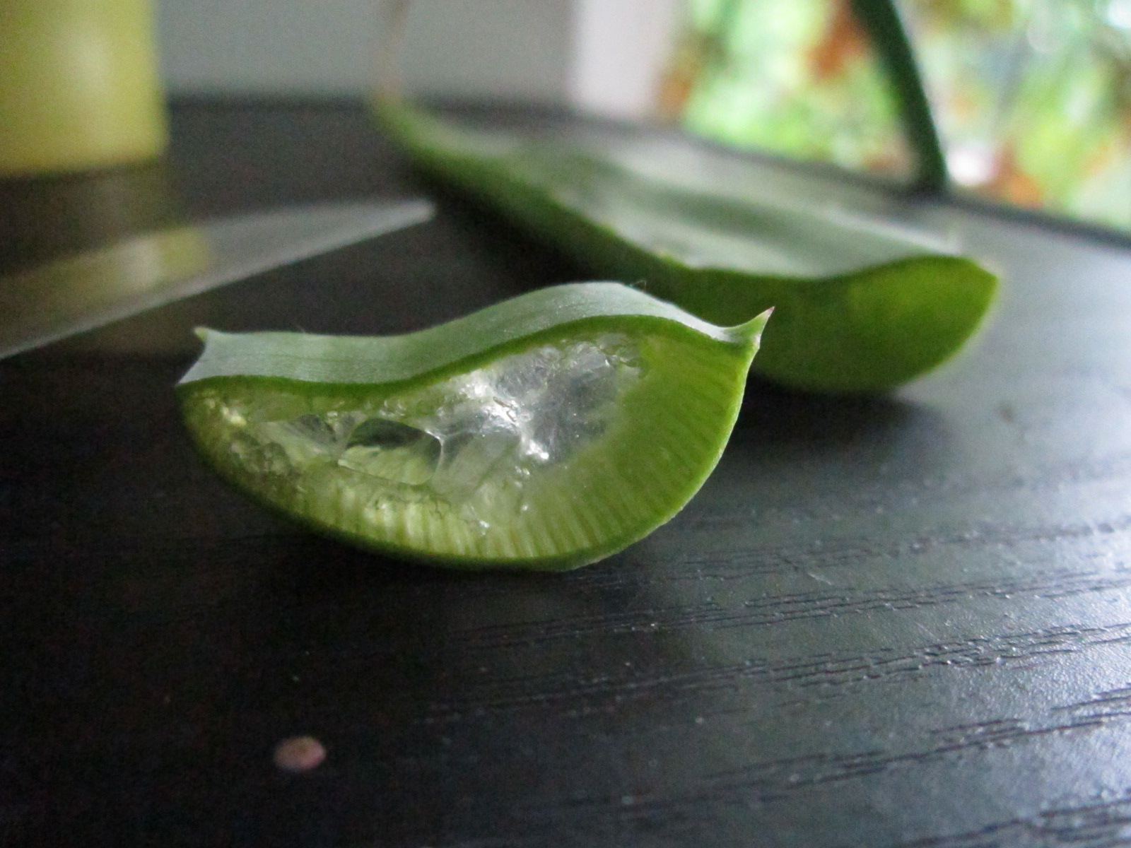Aloe vera, ein cm Scheibe