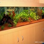 Gesamtansicht 200 x 50 x 50 cm Aquarium