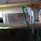 Eigenbau Brutbox für Fische