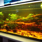 180cmx50cmx50cm Südamerika