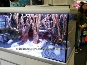 Schaubecken Messe