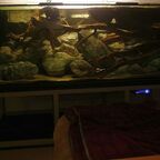 1400l Welsbecken