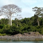 Brasilien 2013