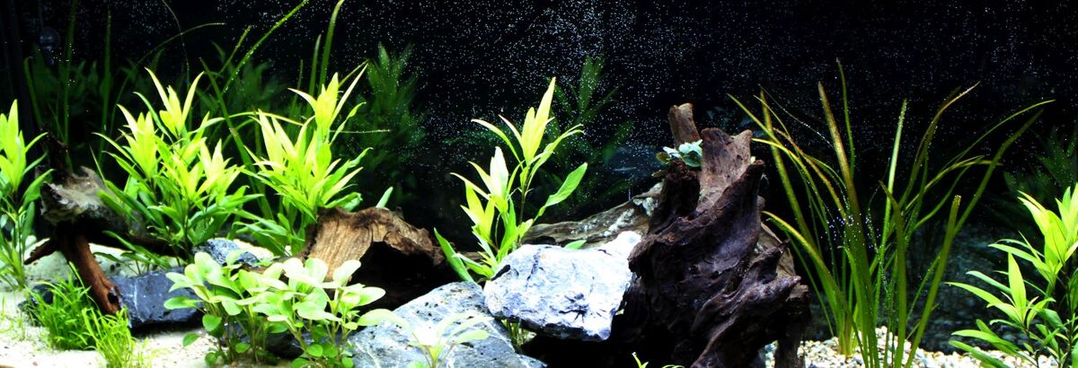 Artikelbild Aquarieneinrichtung